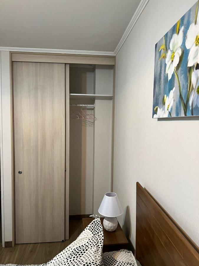 Apartamento Comodo Y Centrico Departamento Santiago